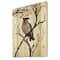 Designart - Vintage Australian Bird Illustrations III - Traditional Print on Natural Pine Wood